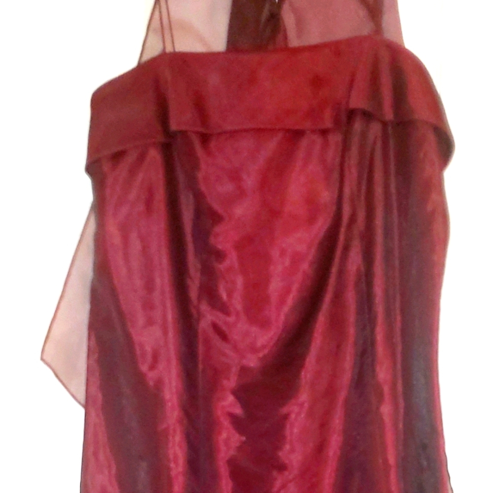 Special Occasion Dress(Worn 1x!)